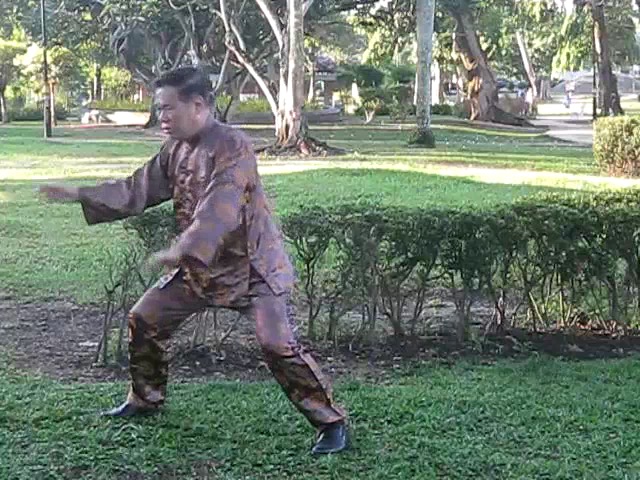 Wu Chuan You Style Taijiquan